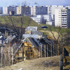 banchi